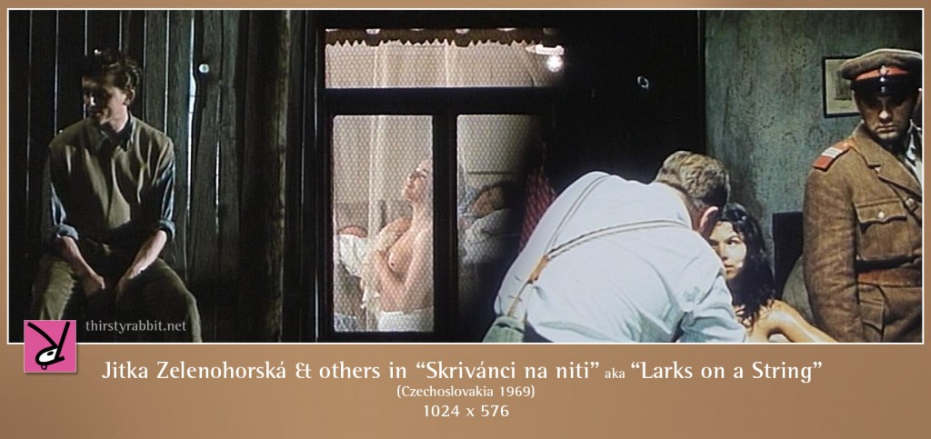 Jitka Zelenohorská and others nude in Skrivánci na niti aka Larks on a String